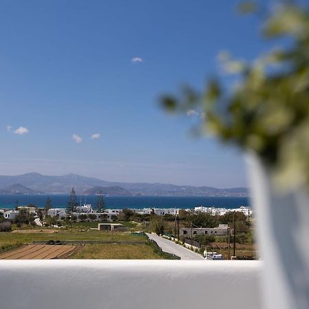Villa The Nine Graces - Agia Anna - Option With Private Pool Or Hot Tub Exterior foto